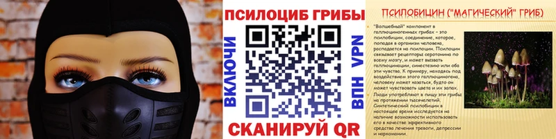 Псилоцибиновые грибы мицелий  Пыть-Ях 