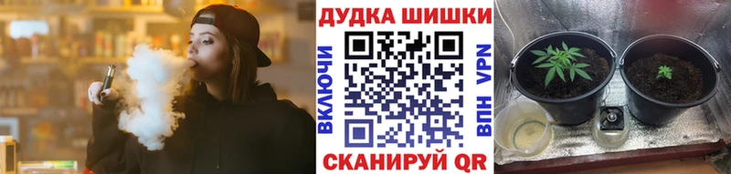 закладки  Пыть-Ях  MEGA сайт  Конопля Amnesia 